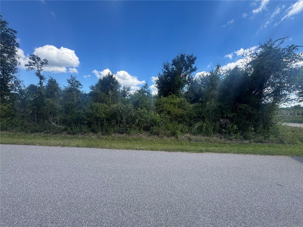 54 46 38 Wilmers Road Punta Gorda FL 33982 A4668924 image4