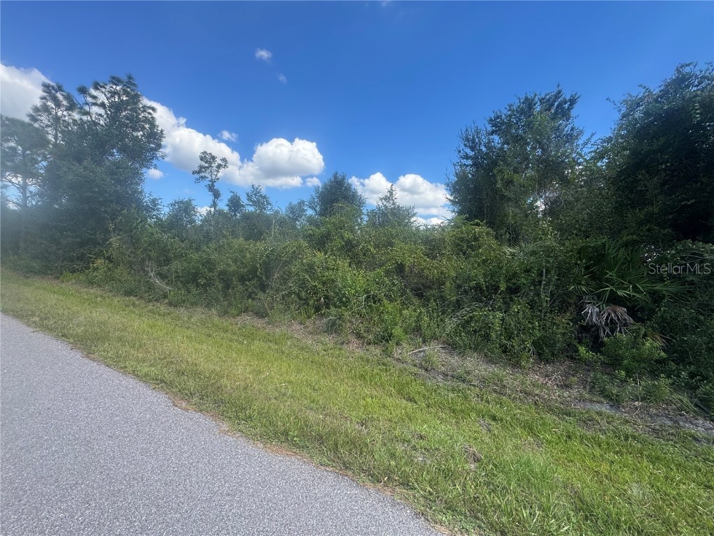 54 46 38 Wilmers Road Punta Gorda FL 33982 A4668924 image5