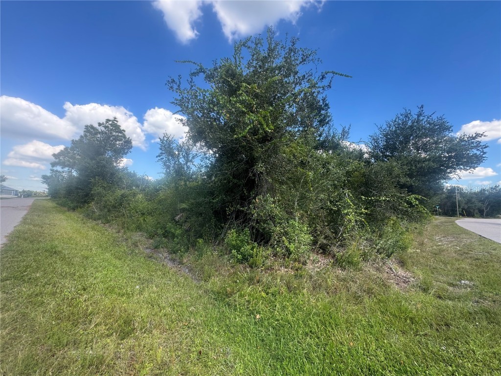 54 46 38 Wilmers Road Punta Gorda FL 33982 A4668924 image6