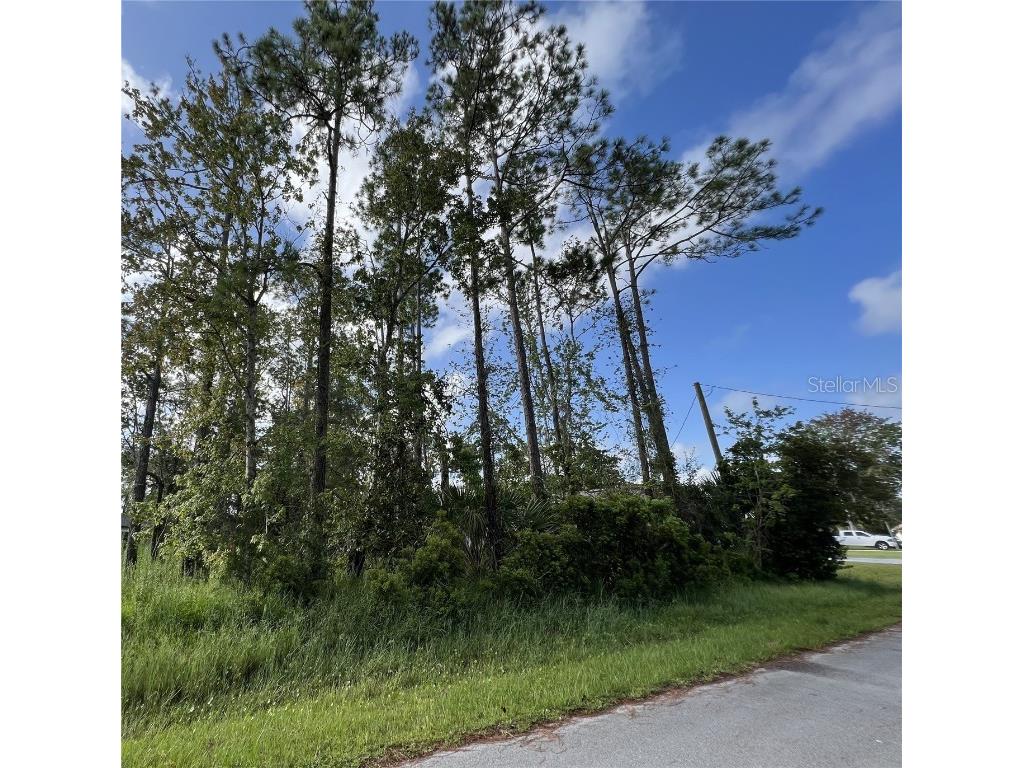 54 Boxwood Lane Palm Coast FL 32137 FC294093 image1