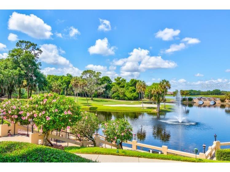 54 Camino Real Boulevard #504 Howey In The Hills FL 34737 G5107792 image52