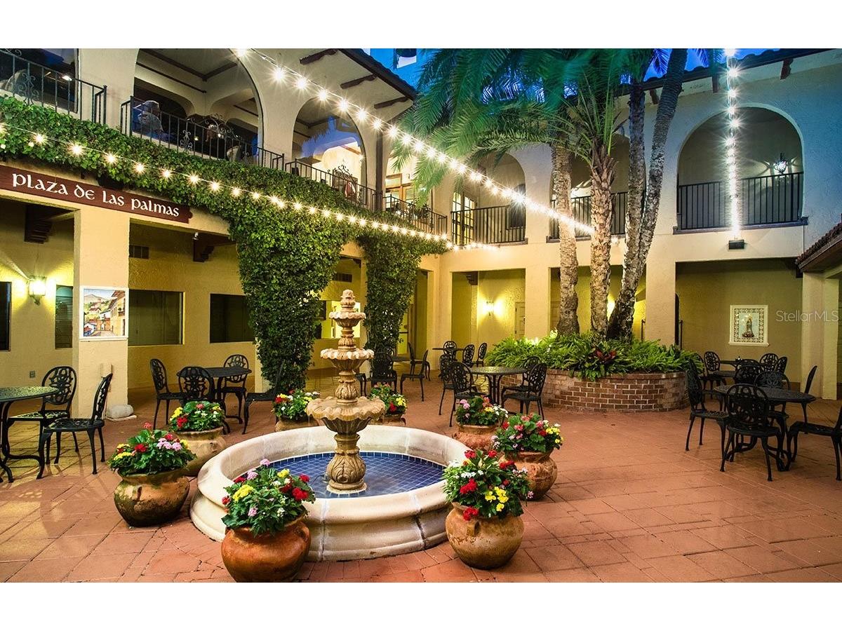 54 Camino Real Boulevard #504 Howey In The Hills FL 34737 G5107792 image57