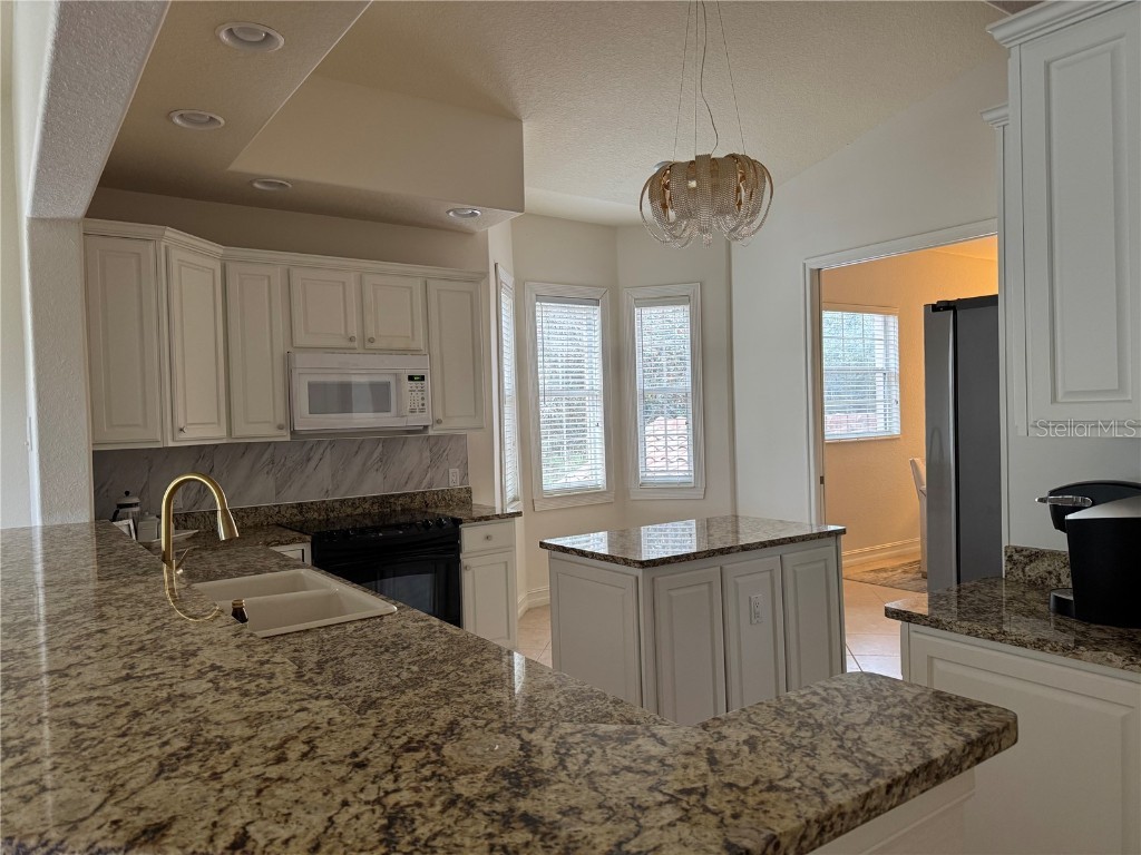 54 Camino Real Boulevard #504 Howey In The Hills FL 34737 O6364917 image12