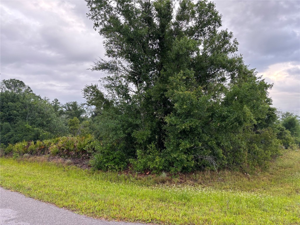 54 Evergreen Street Punta Gorda FL 33982 C7491600 image1