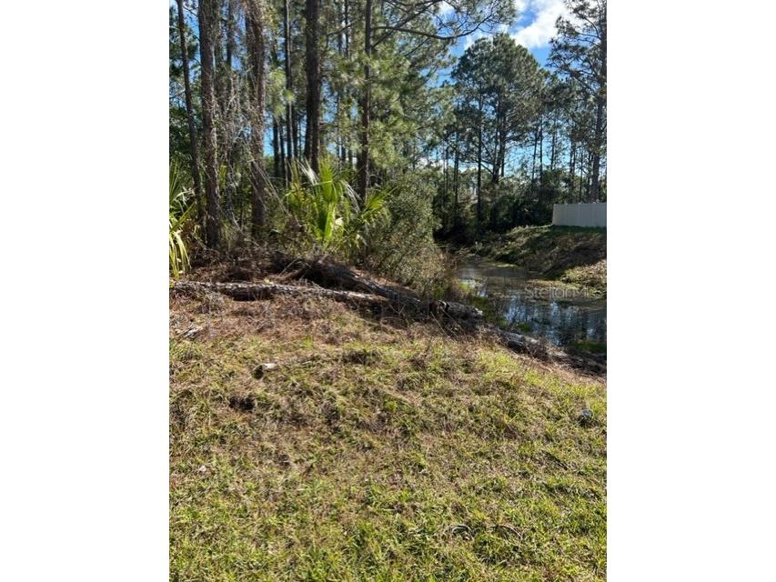 54 Karas Trail Palm Coast FL 32164 FC289358 image1