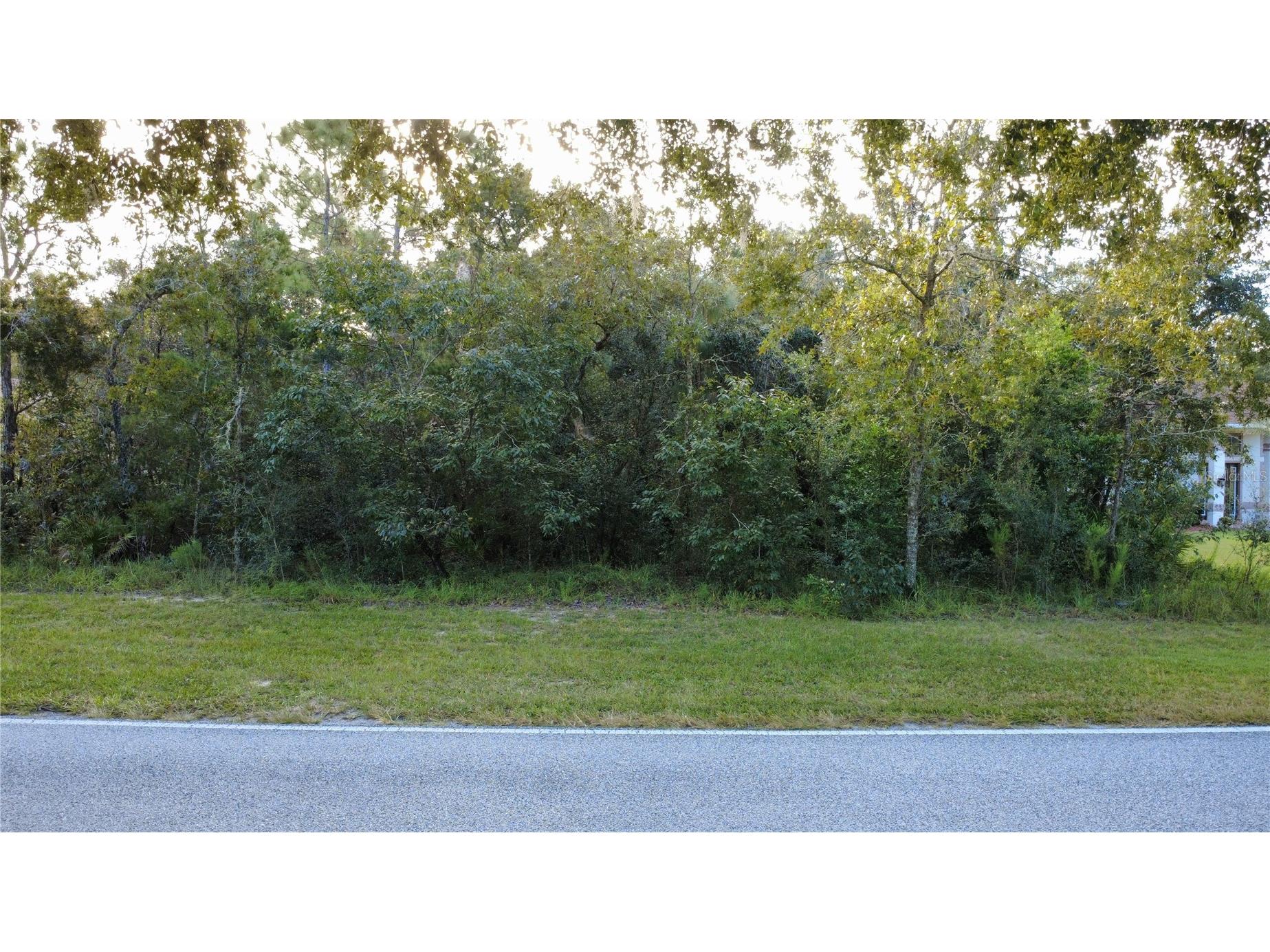 54 Oak Village Boulevard Homosassa FL 34446 W7885878 image7
