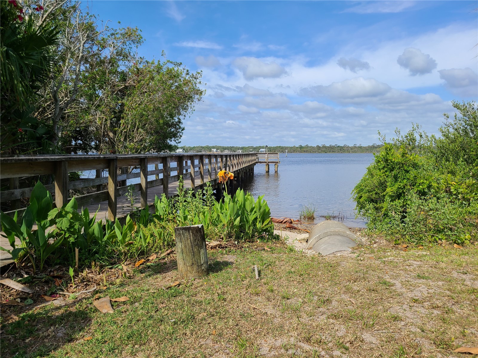 54 River Shore Drive Ormond Beach FL 32176 V4948635 image32