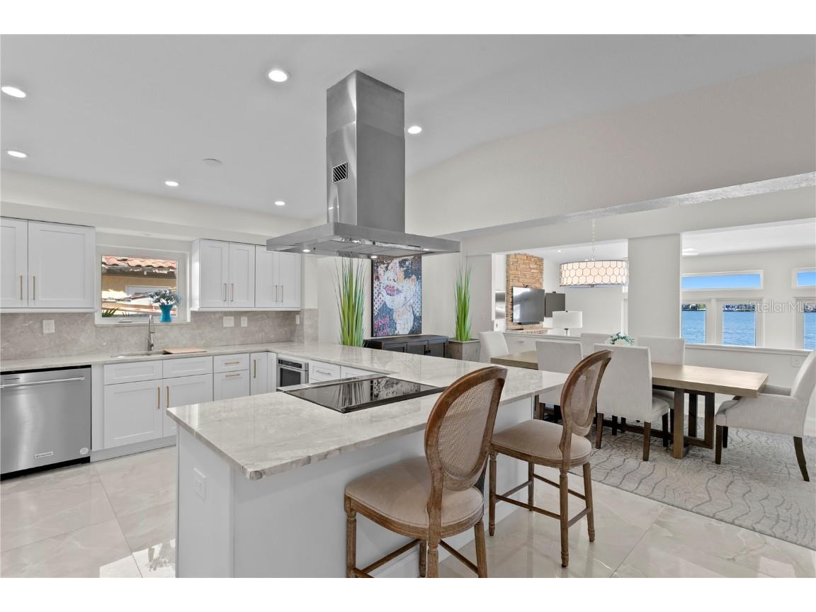 540 59th Avenue Saint Pete Beach FL 33706 - BOCA CIEGA BAY TB8440414 image16