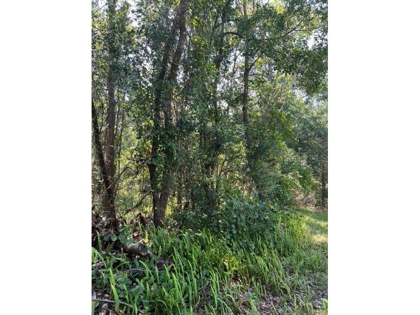 540 Bern Court Deltona FL 32738 O6135882 image1