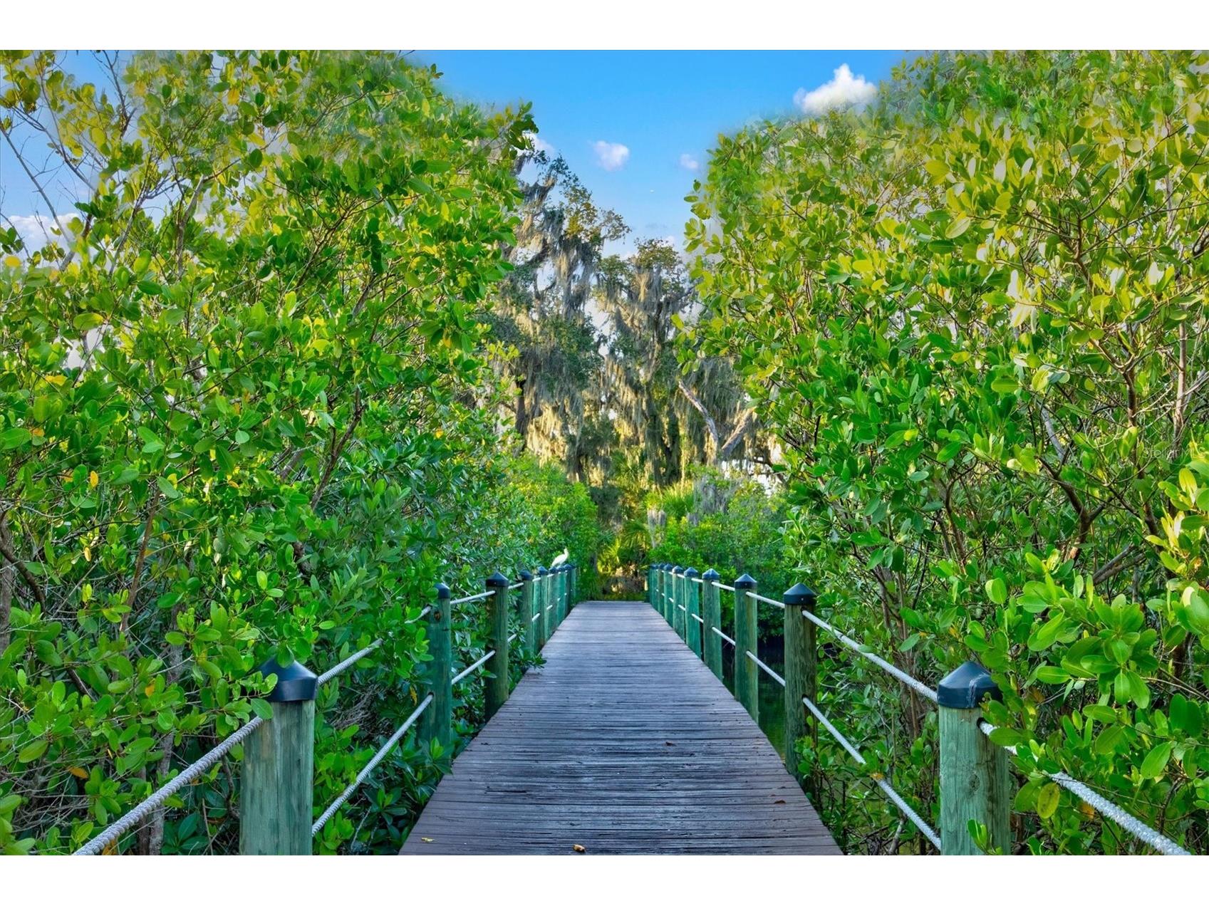 540 Fore Drive Bradenton FL 34208 A4674410 image82