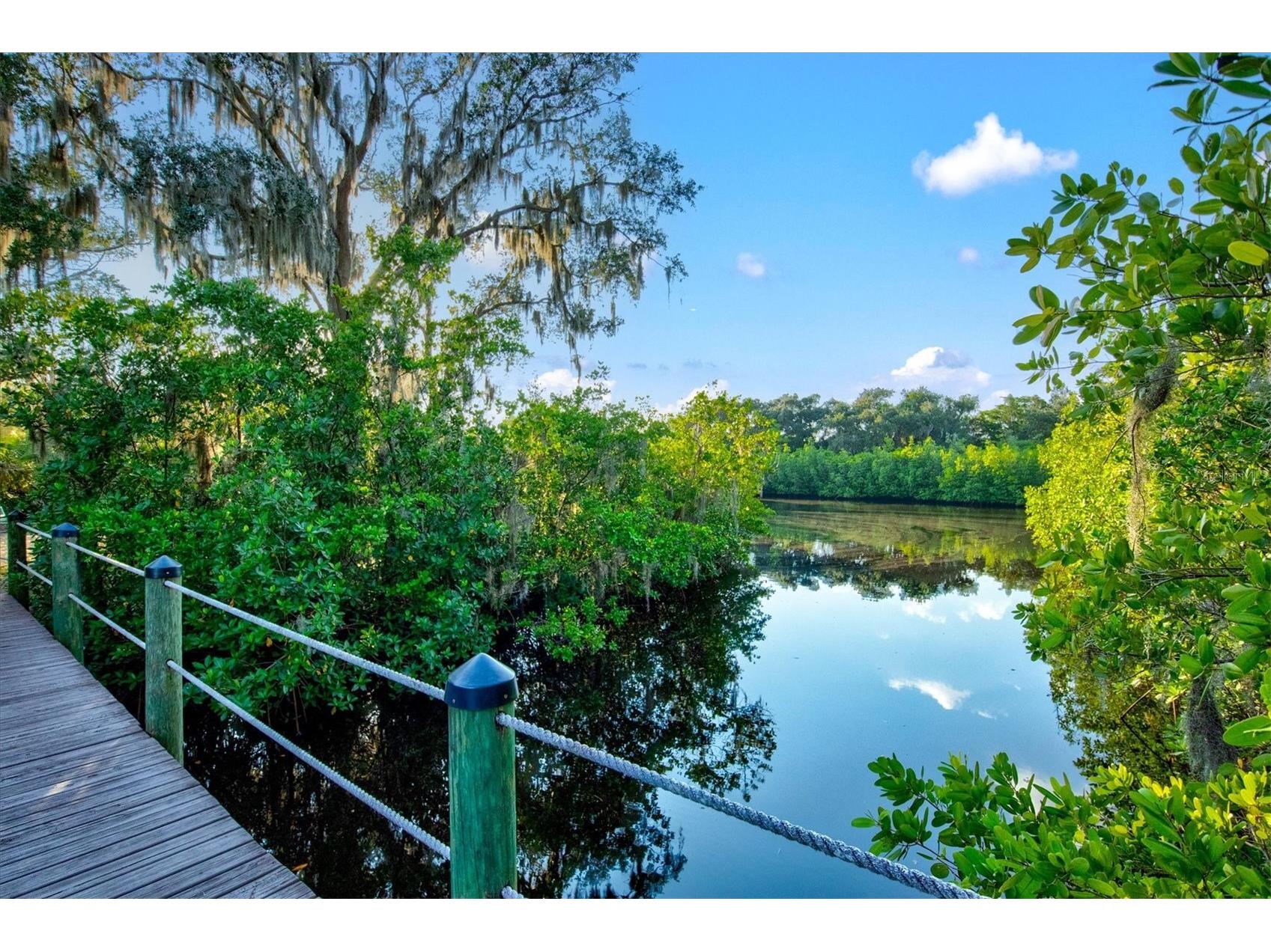 540 Fore Drive Bradenton FL 34208 A4674410 image84