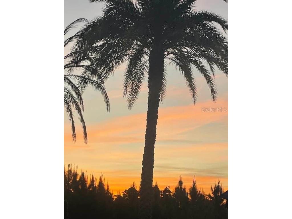 540 Gary Player Drive Davenport FL 33837 O6354688 image55