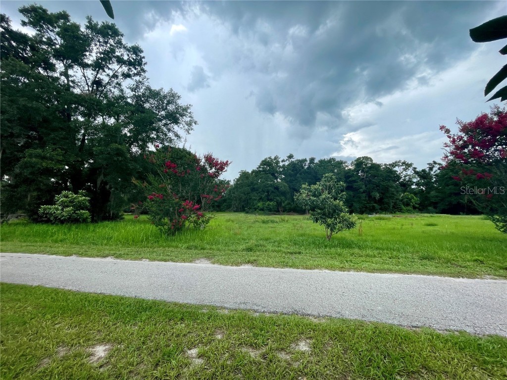 540 Haynes Road Lakeland FL 33809 TB8391911 image3