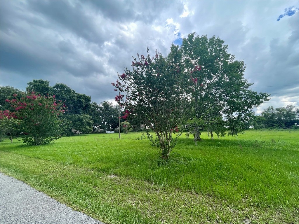 540 Haynes Road Lakeland FL 33809 TB8391911 image4