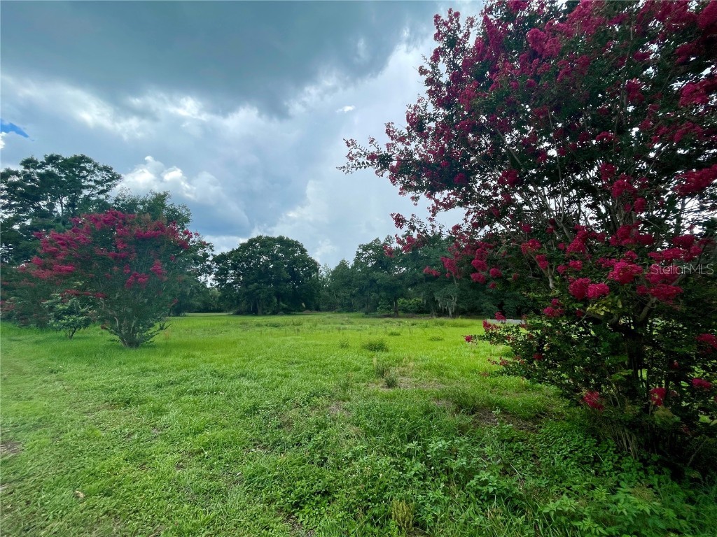 540 Haynes Road Lakeland FL 33809 TB8391911 image5