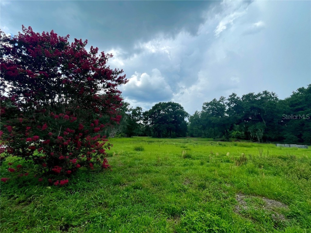 540 Haynes Road Lakeland FL 33809 TB8391911 image6