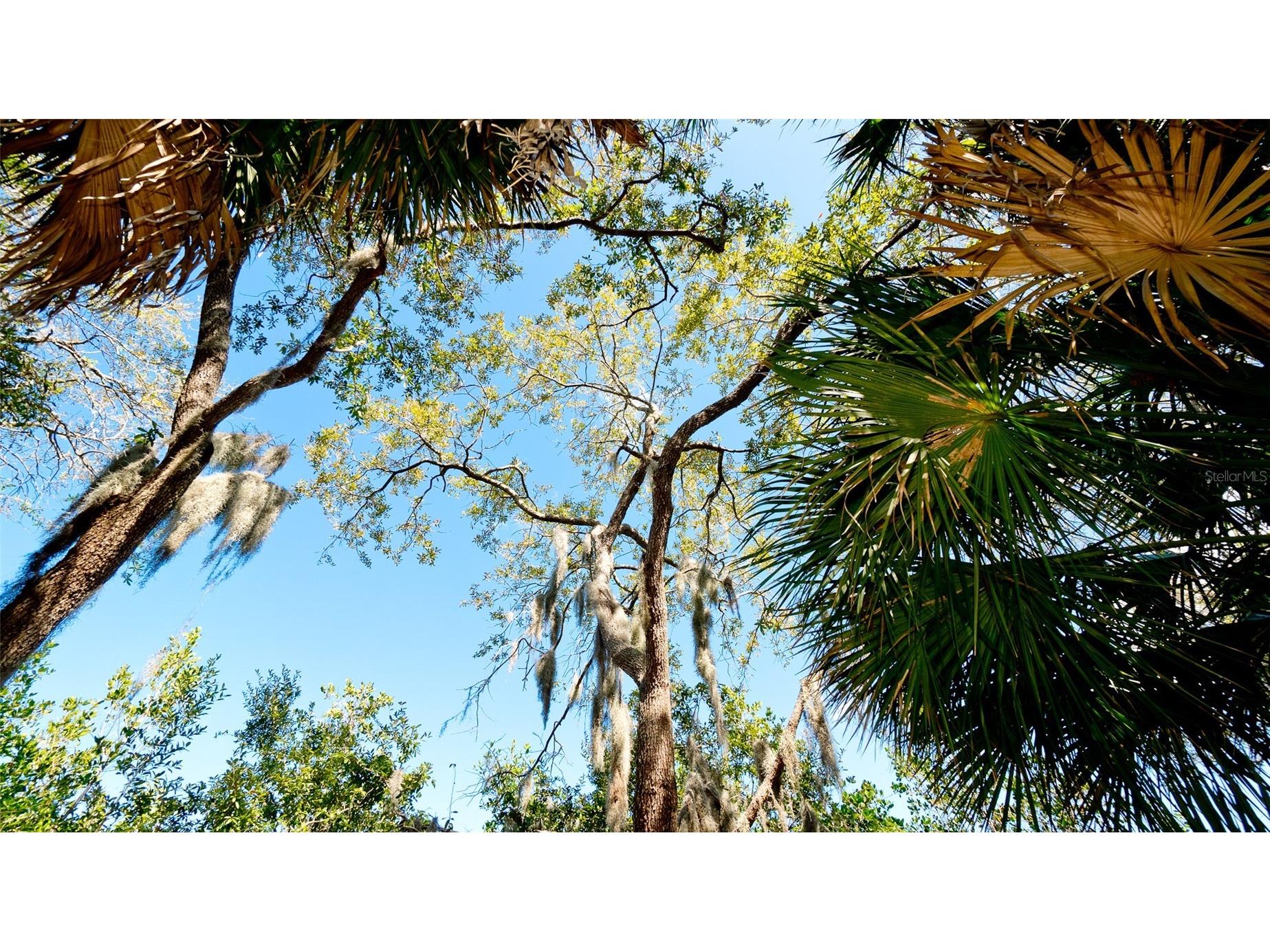 540 Mast Drive Bradenton FL 34208 TB8503211 image15