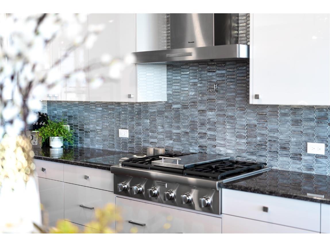 540 N Tamiami Trail #702 Sarasota FL 34236 A4671130 image23