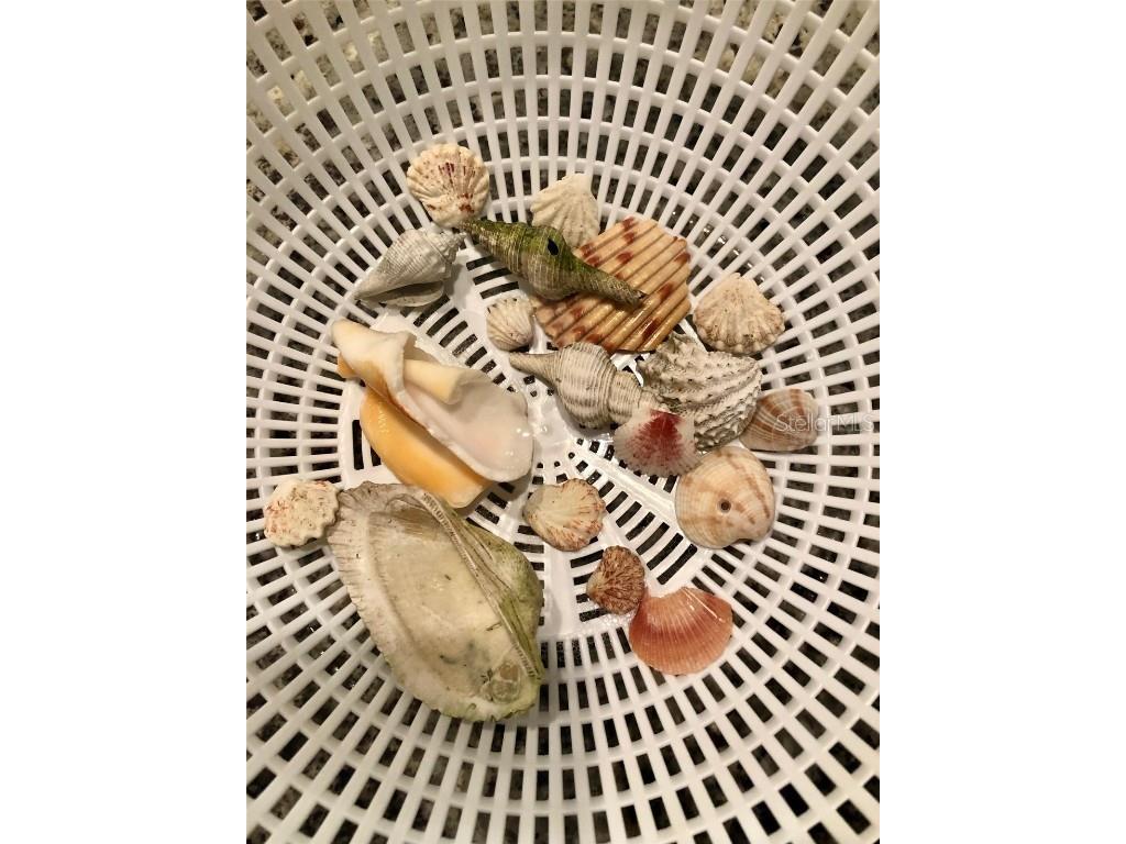 540 Neptune Avenue #7 Longboat Key FL 34228 A4671262 image10