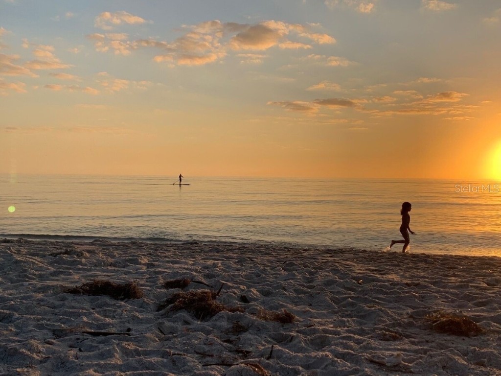 540 Neptune Avenue #7 Longboat Key FL 34228 A4671262 image7