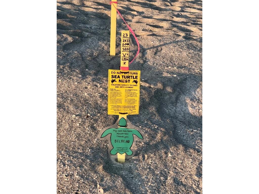 540 Neptune Avenue #7 Longboat Key FL 34228 A4671262 image9