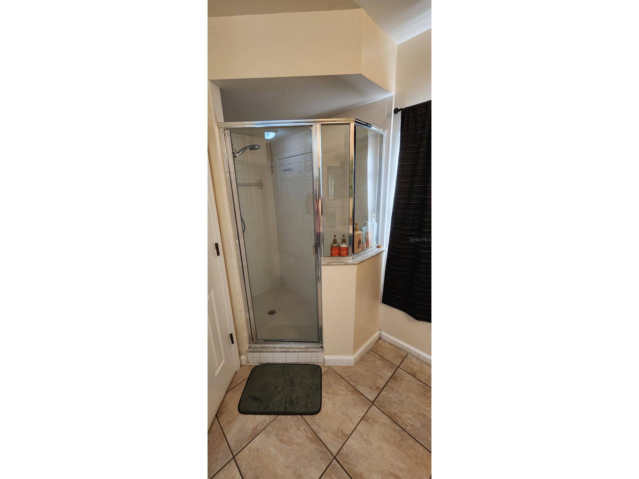 540 Oak Branch Circle Kissimmee FL 34758 S5137421 image45