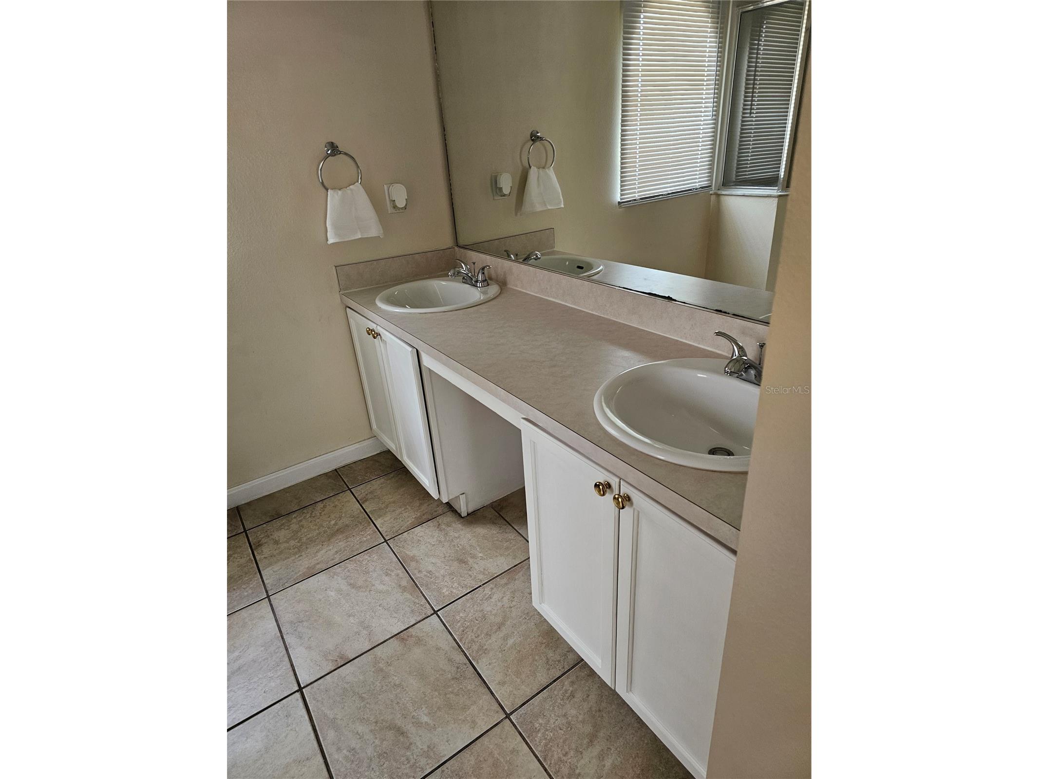 540 Oak Branch Circle Kissimmee FL 34758 S5137421 image49