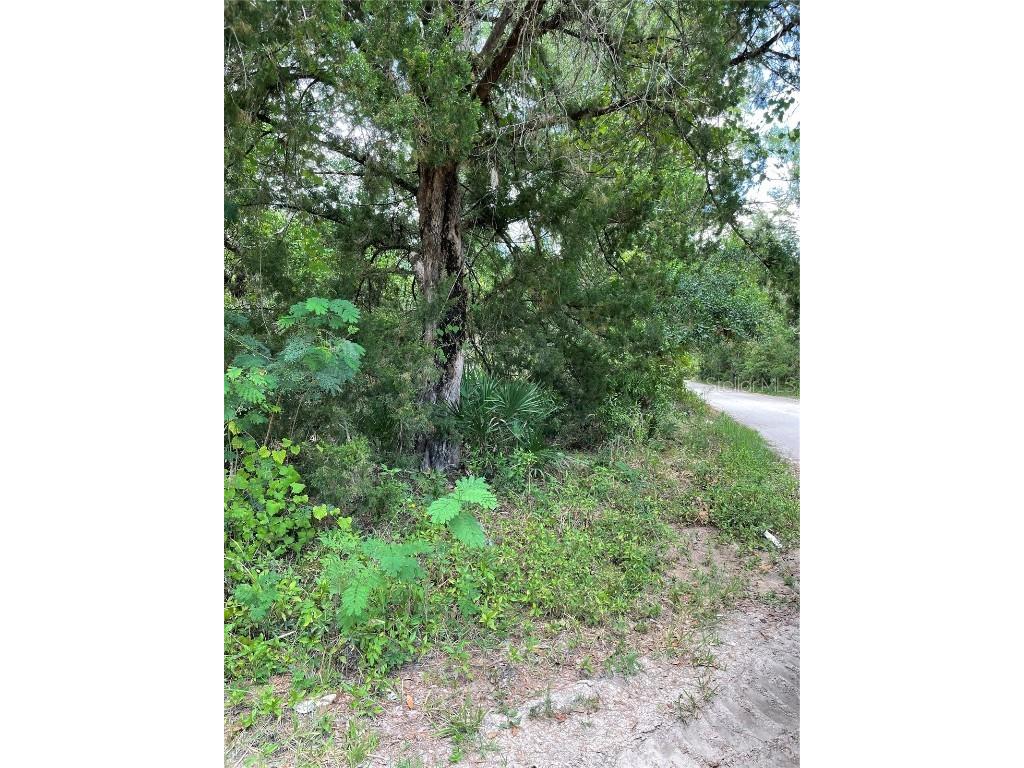 540 Ranchette Road New Smyrna Beach FL 32168 V4936777 image1