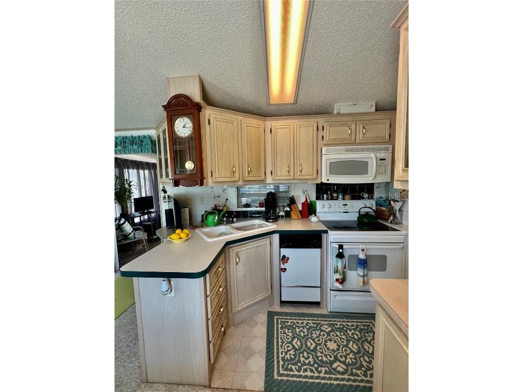 540 Royal Troon Loop Davenport FL 33837 O6189189 image15