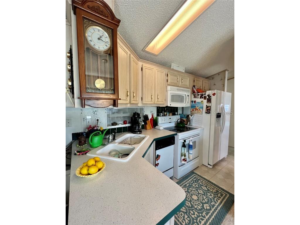 540 Royal Troon Loop Davenport FL 33837 O6189189 image16