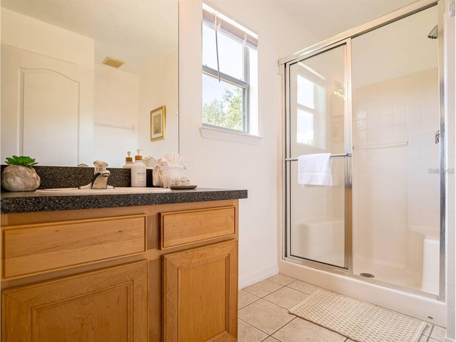 540 Sandy Ridge Drive Davenport FL 33896 O6394005 image12