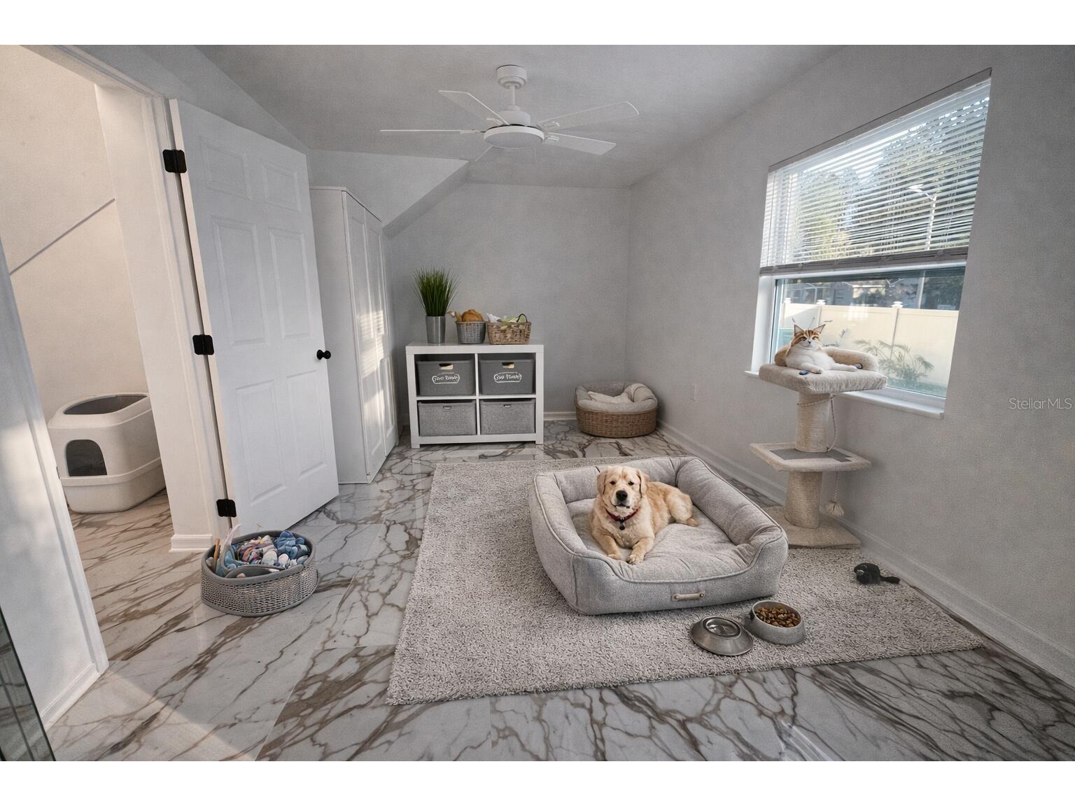 540 Sheridan Drive Palm Harbor FL 34684 O6371270 image20