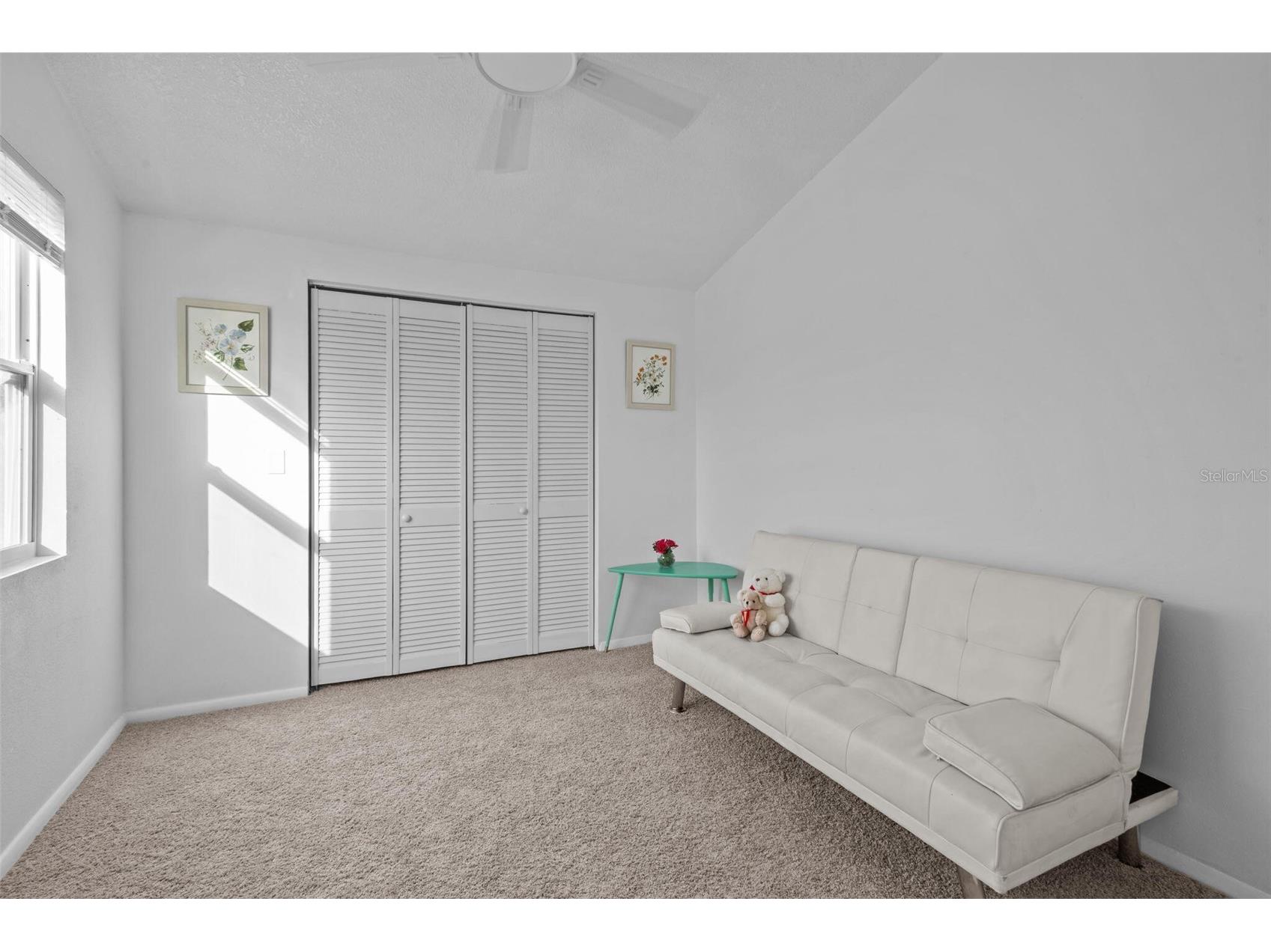 540 Sheridan Drive Palm Harbor FL 34684 O6371270 image37