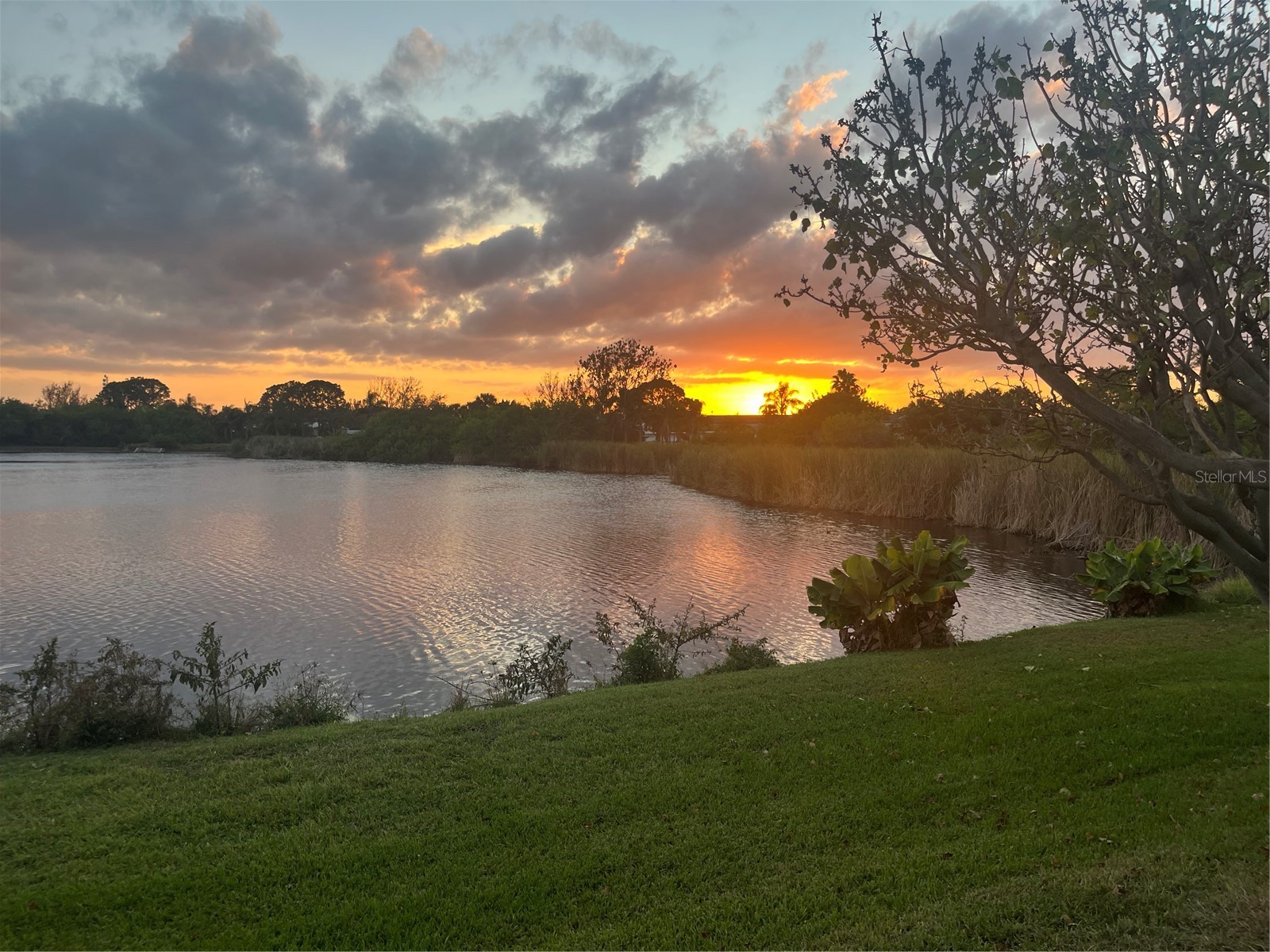 540 Somerhill Drive NE Saint Petersburg FL 33716 - BRIGHTON BAY TB8361266 image1