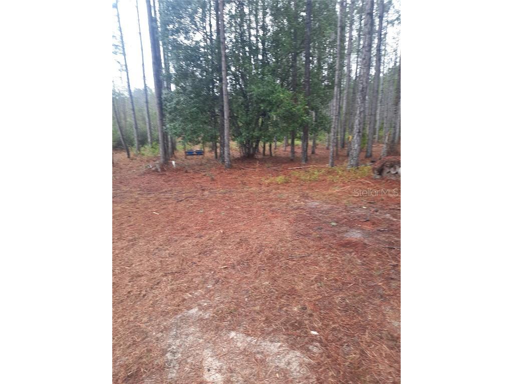 540 SW 326th Avenue Steinhatchee FL 32359 TB8400209 image1