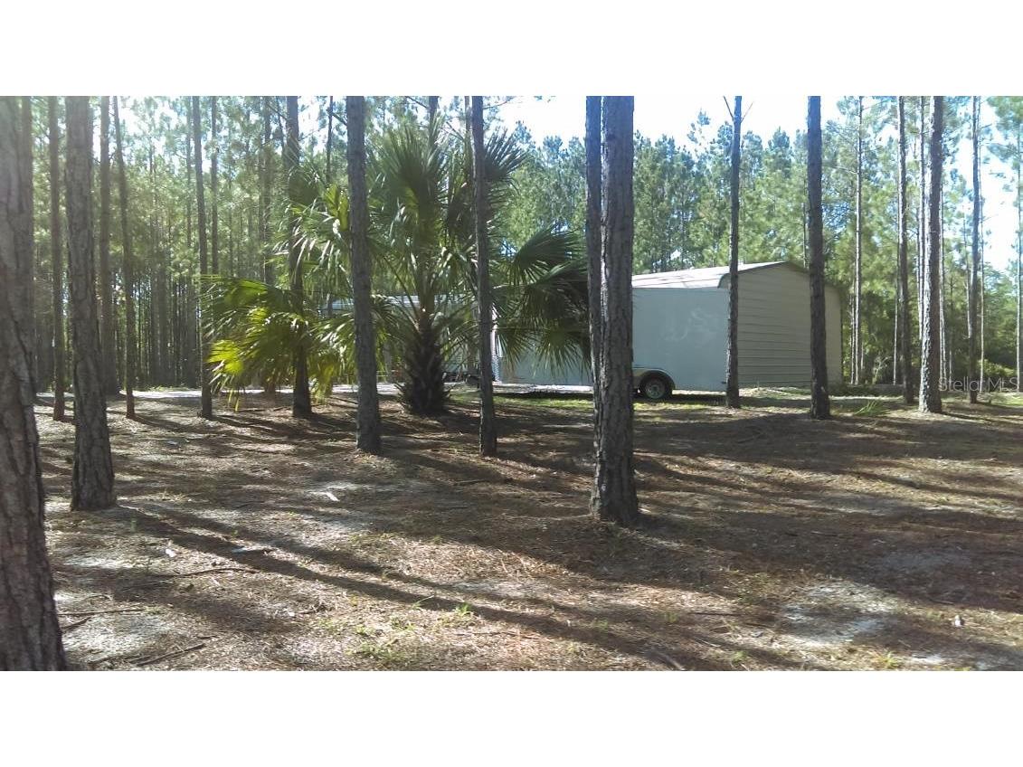 540 SW 326th Avenue Steinhatchee FL 32359 TB8400209 image13