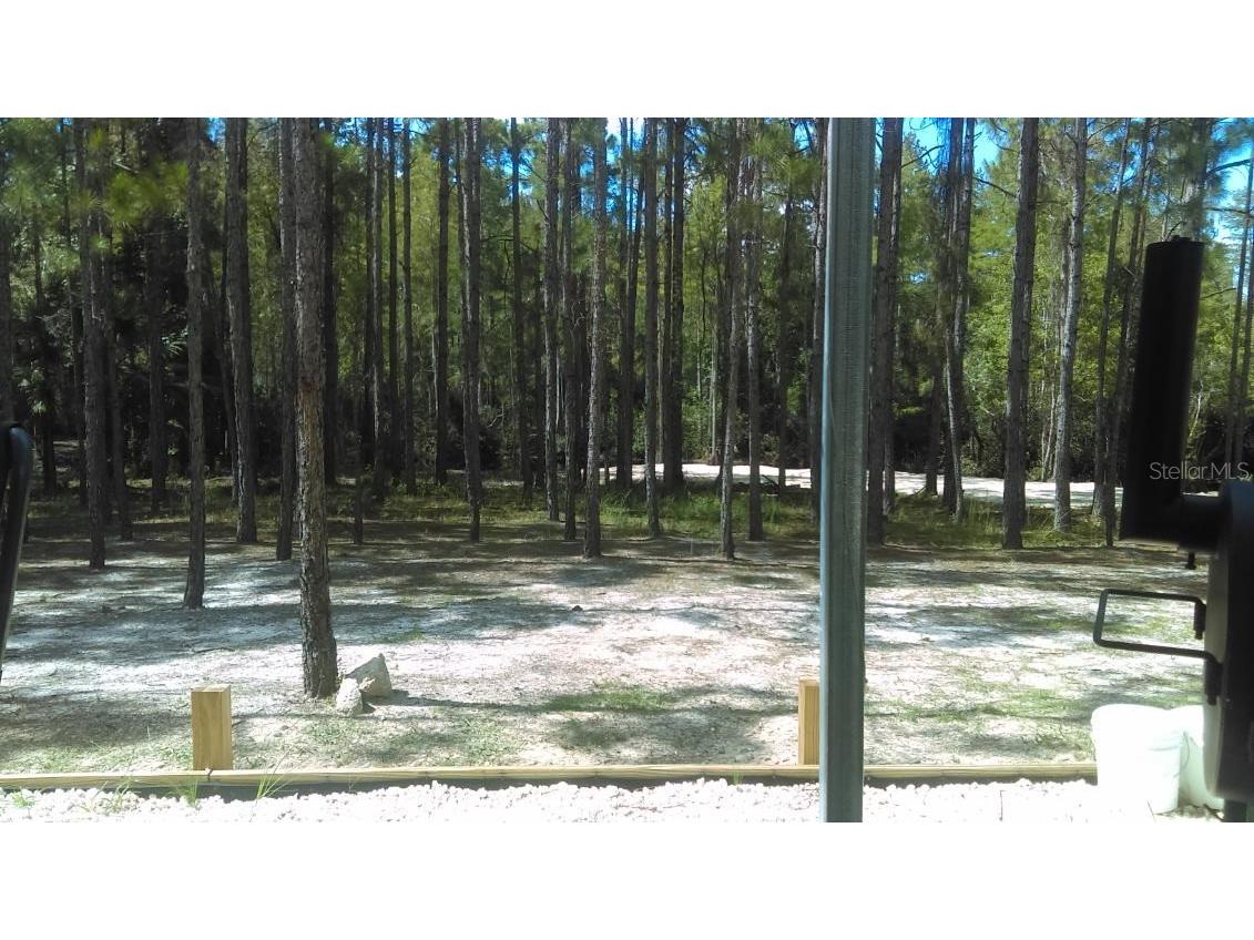540 SW 326th Avenue Steinhatchee FL 32359 TB8400209 image14