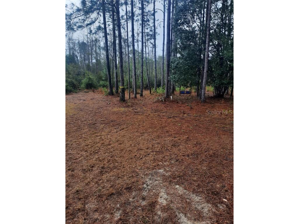 540 SW 326th Avenue Steinhatchee FL 32359 TB8400209 image2