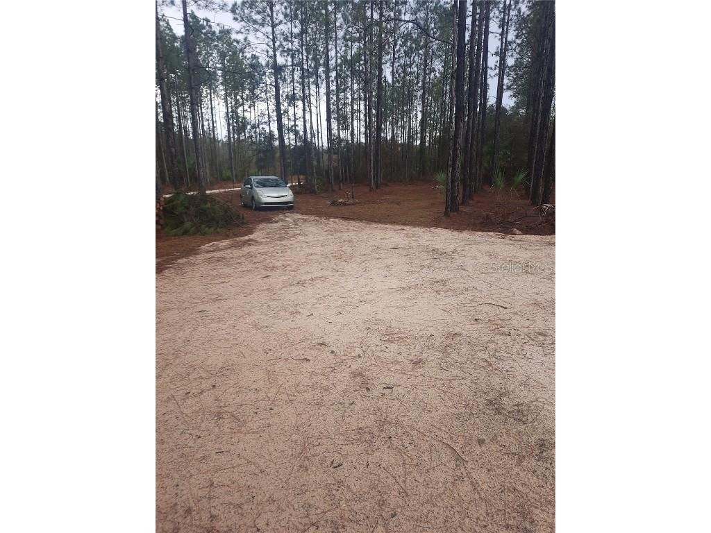 540 SW 326th Avenue Steinhatchee FL 32359 TB8400209 image3