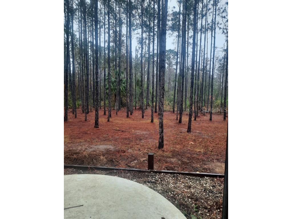 540 SW 326th Avenue Steinhatchee FL 32359 TB8400209 image5