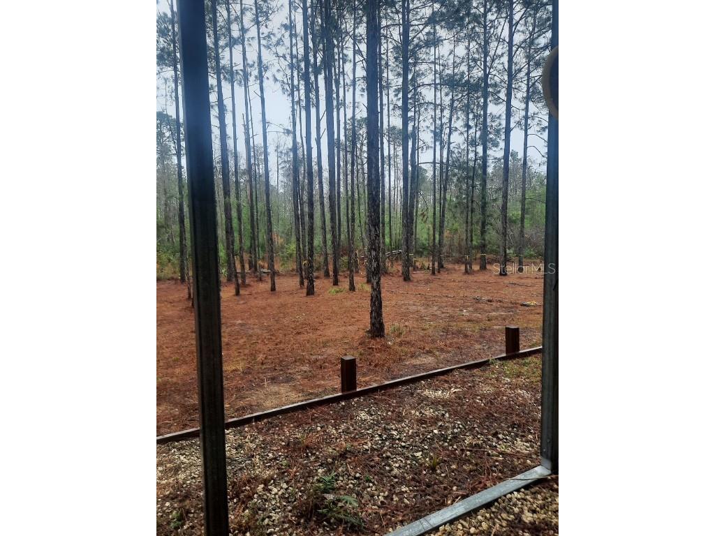 540 SW 326th Avenue Steinhatchee FL 32359 TB8400209 image6