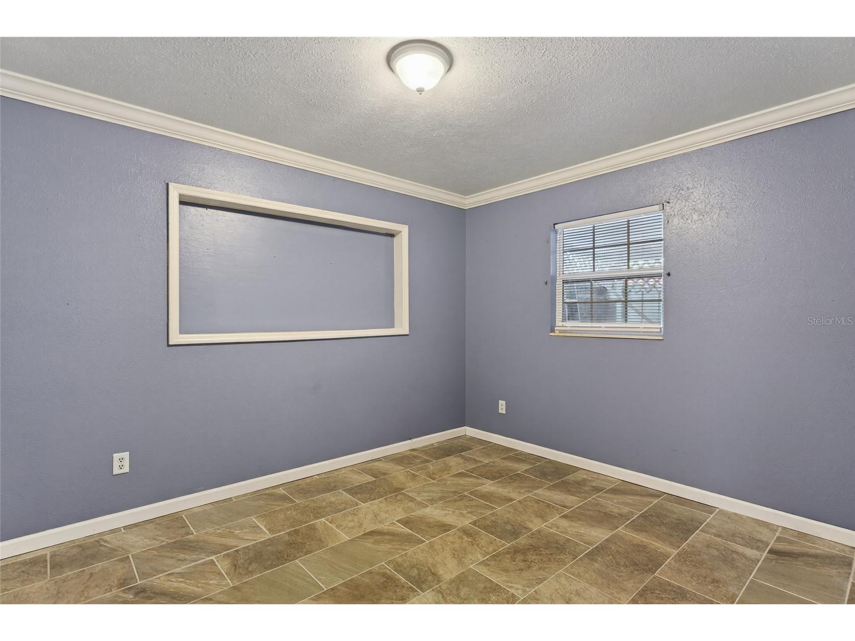 540 W Columbia Street Lake Alfred FL 33850 O6404222 image10