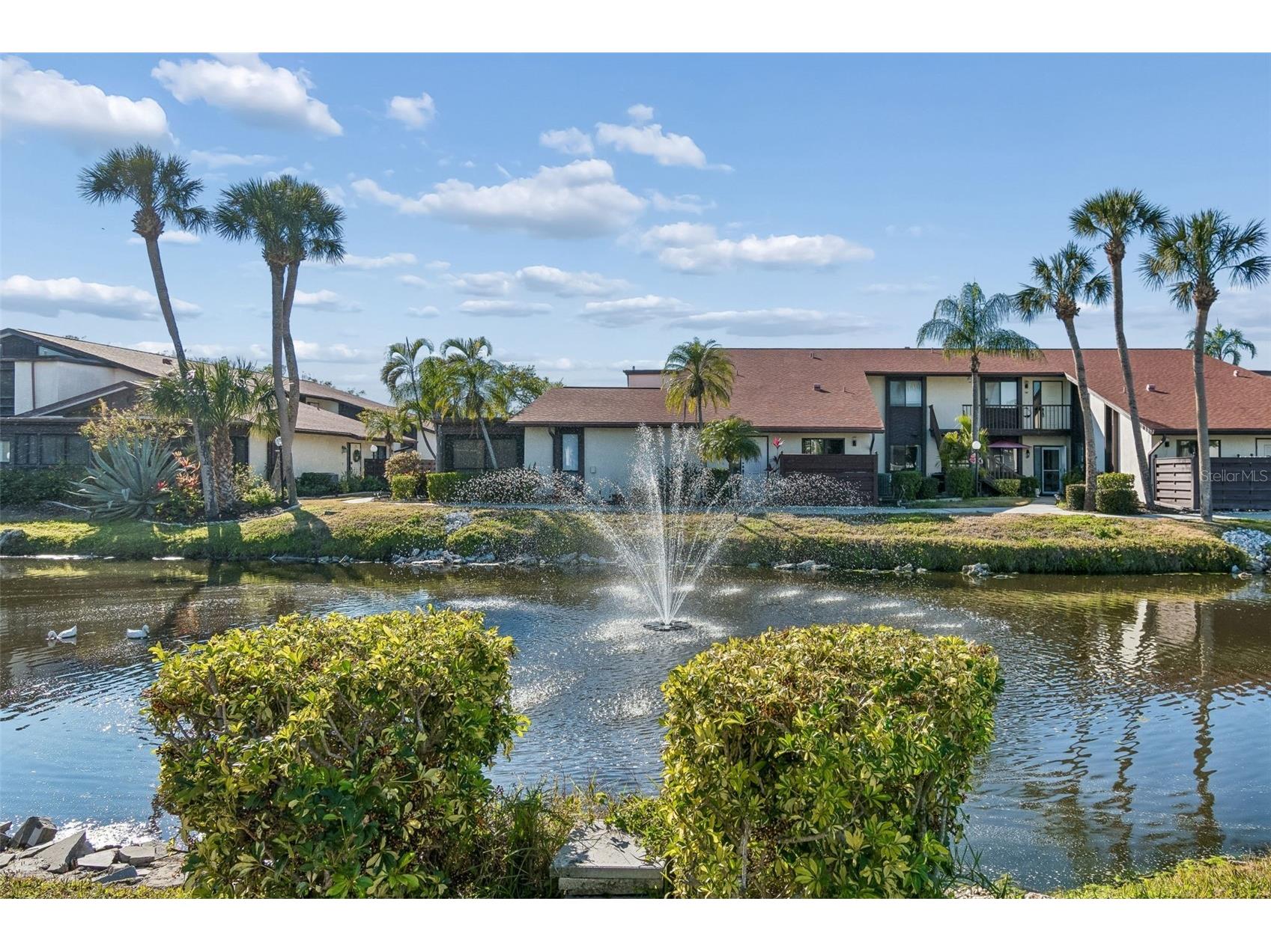 5400 34th Street W #D16 Bradenton FL 34210 A4681725 image57