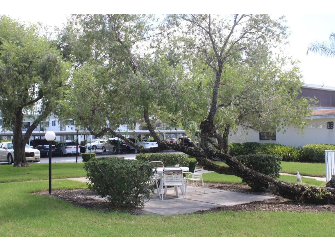 5400 34th Street W #D2 Bradenton FL 34210 A4664993 image16