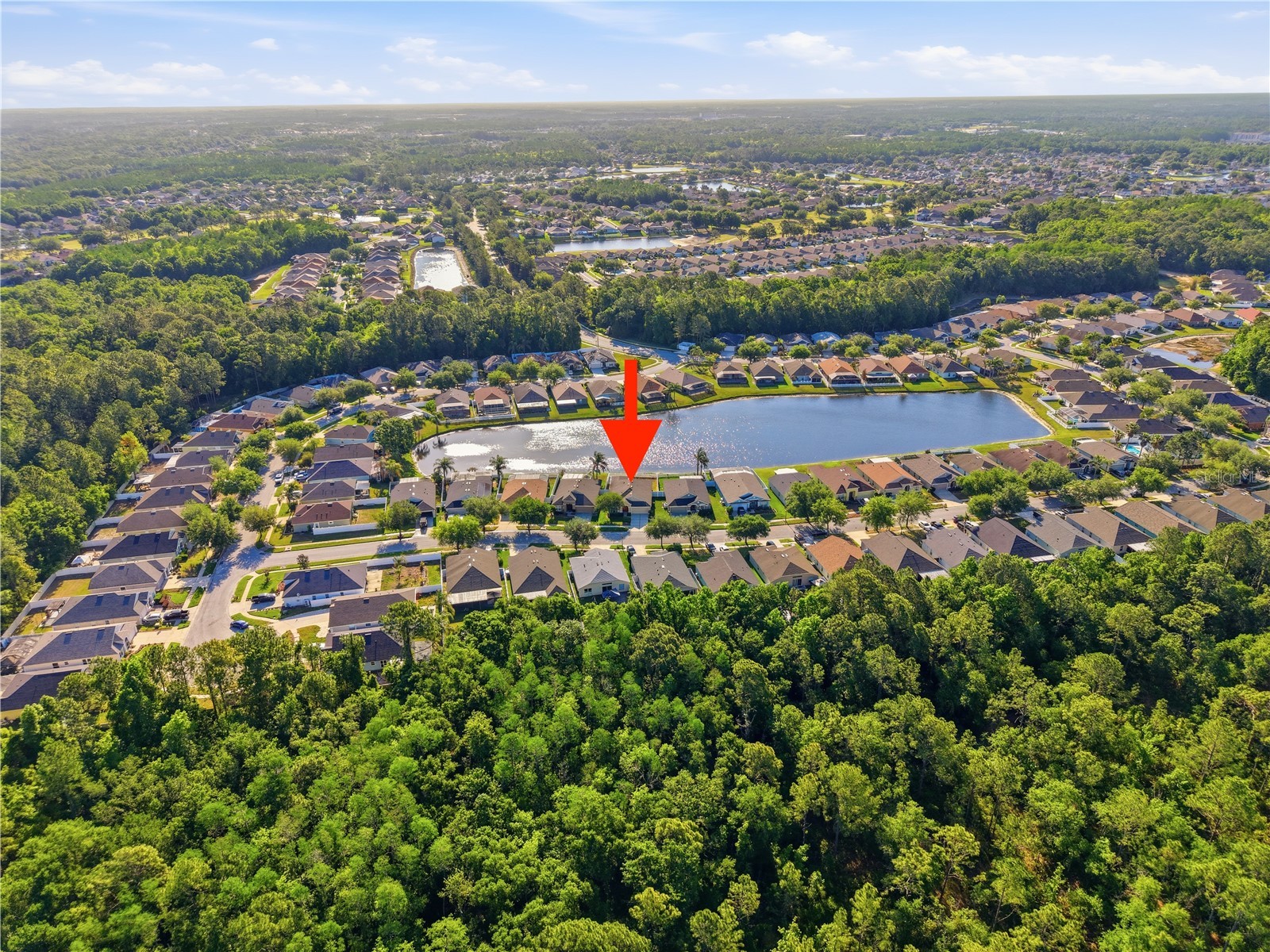 5400 Algerine Place Wesley Chapel FL 33544 TB8500834 image29