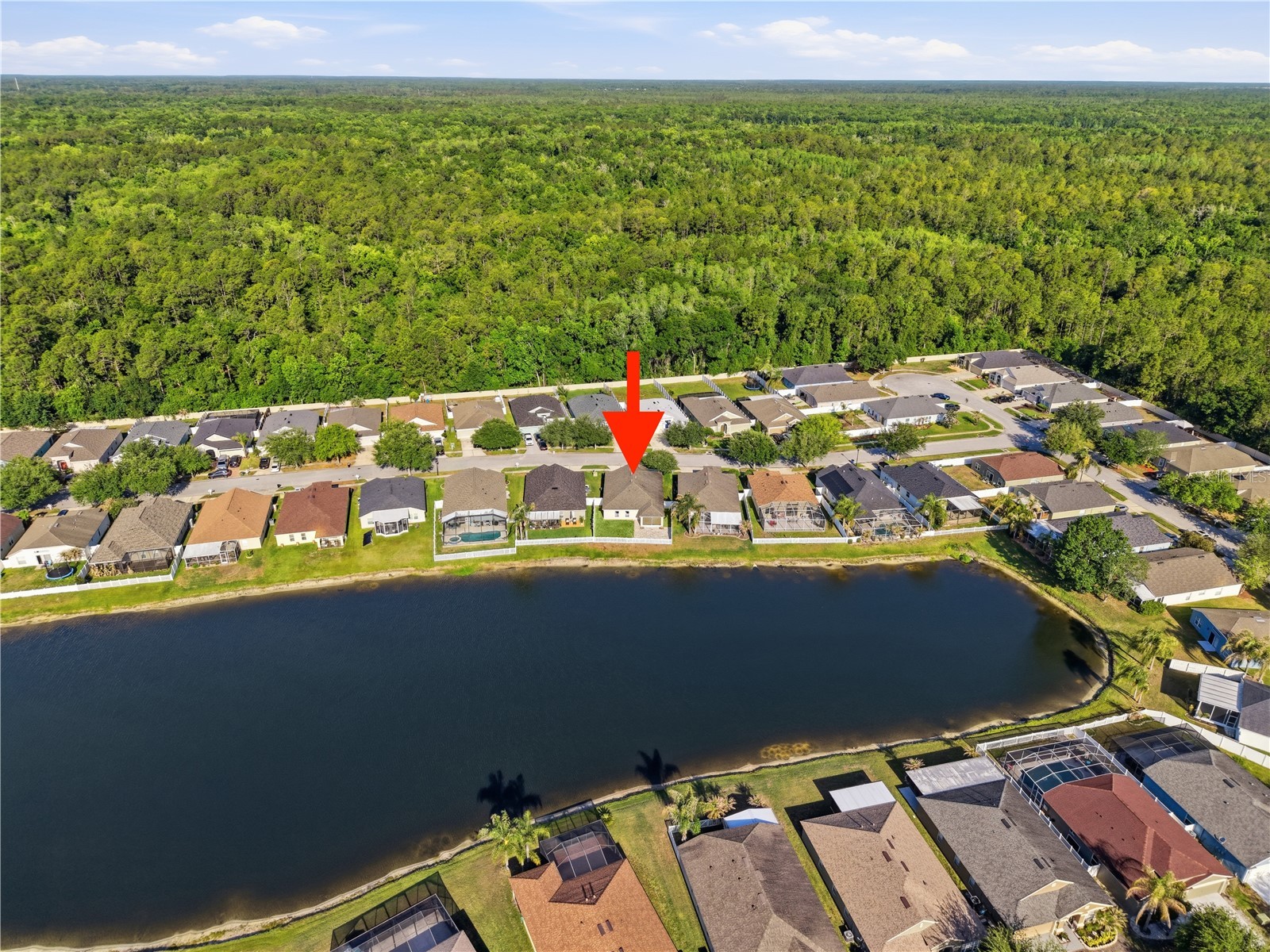 5400 Algerine Place Wesley Chapel FL 33544 TB8500834 image33