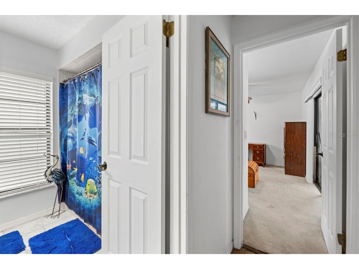 5400 Birchwood Road Spring Hill FL 34608 TB8426970 image64