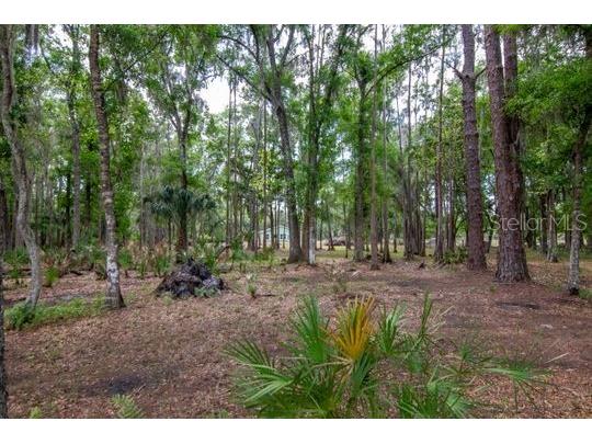5400 Bruton Road Plant City FL 33565 TB8494091 image29