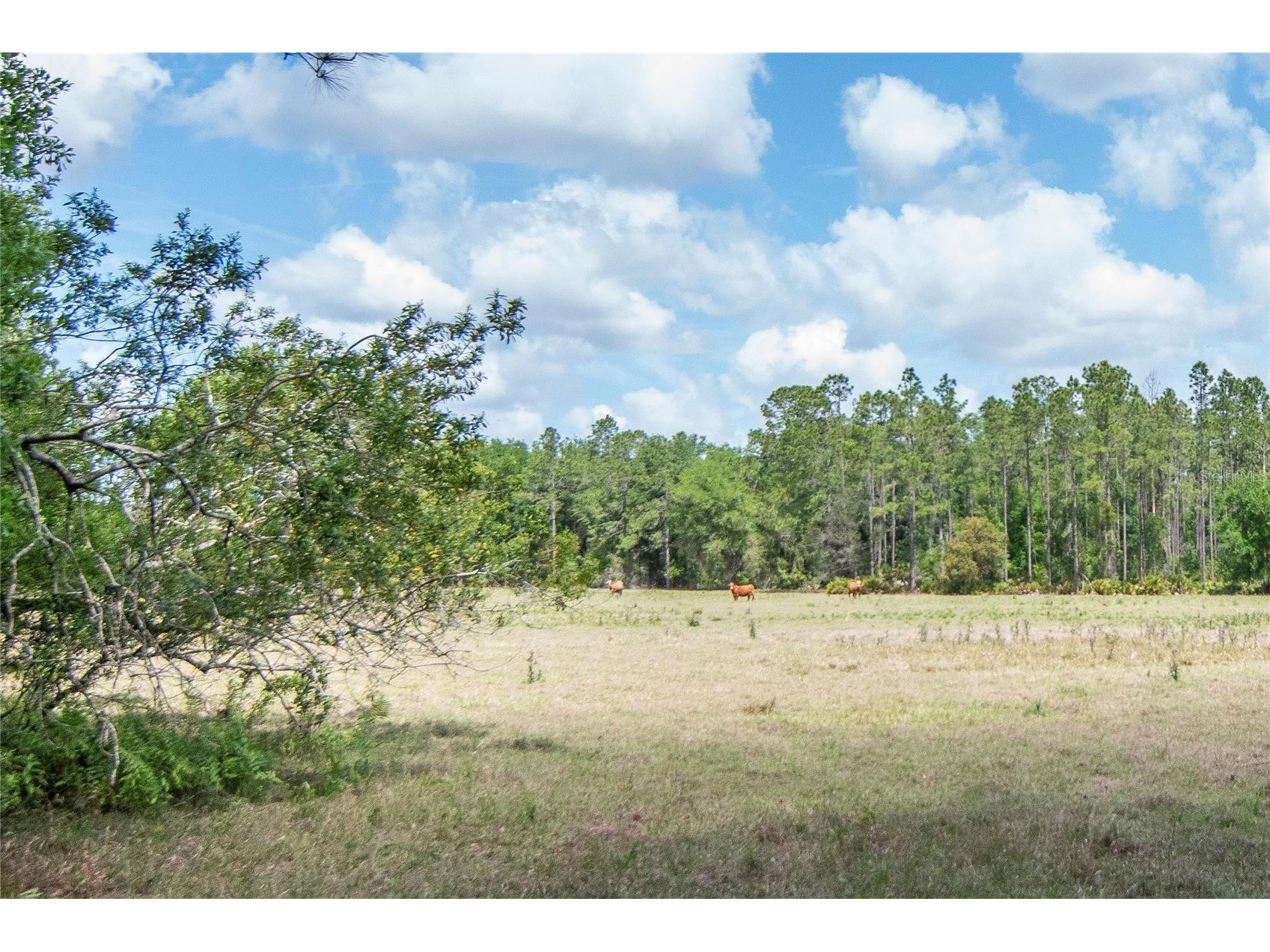5400 Bruton Road Plant City FL 33565 TB8494091 image36