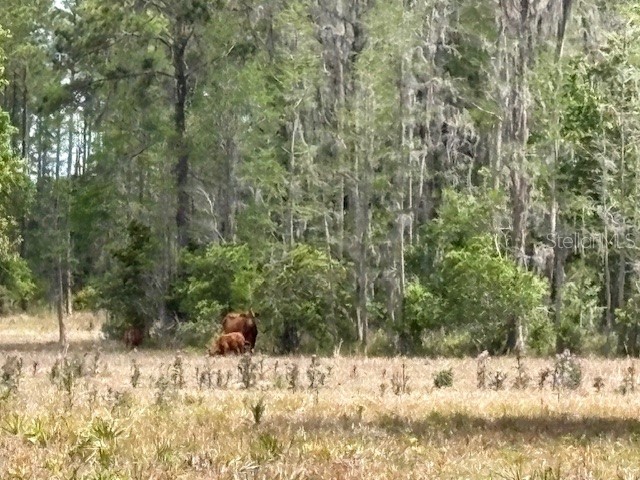 5400 Bruton Road Plant City FL 33565 TB8494091 image37